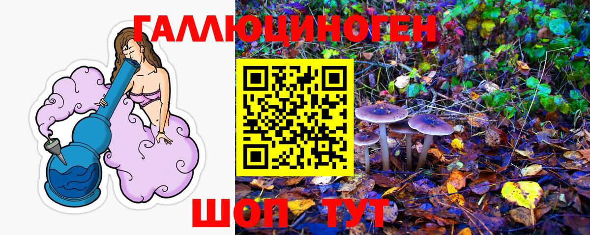 Галлюциногенные грибы GOLDEN TEACHER Корсаков